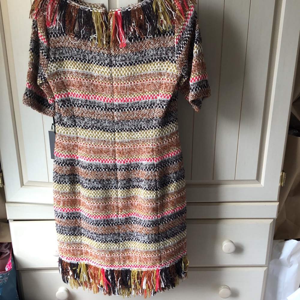 NWT • WORTH NEW YORK $598 Fringed Blanket Stripe Dress - Picture 15 of 16